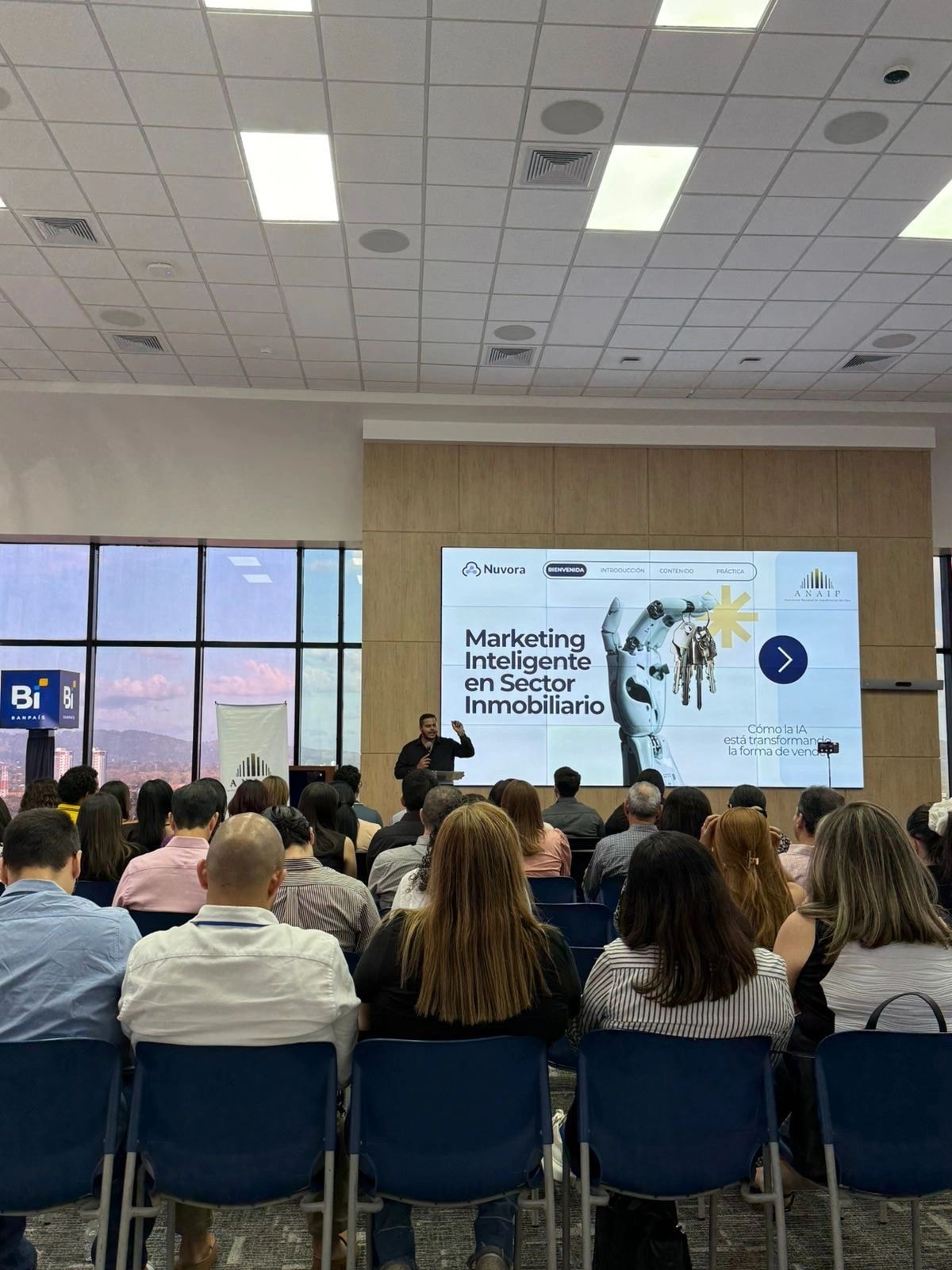 Afiliados ANAIP - actividad 4
